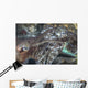 Mating Cuttlefish Wall Decal