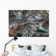 Mating Cuttlefish Wall Decal