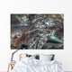 Mating Cuttlefish Wall Decal