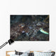 Mating Cuttlefish Close-up Wall Decal