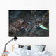 Mating Cuttlefish Close-up Wall Decal