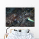 Mating Cuttlefish Close-up Wall Decal