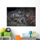 Mating Cuttlefish Distant Wall Decal