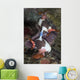 Mating Nembrotha Chamberlaini Nudibranchs Wall Decal