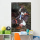 Mating Nembrotha Chamberlaini Nudibranchs Wall Decal