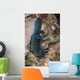 Tambja Morosa Nudibranch Komodo Vertical Wall Decal