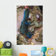 Tambja Morosa Nudibranch Komodo Vertical Wall Decal