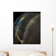 Batfish Being Cleaned Cleaner Wall Decal