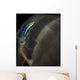 Batfish Being Cleaned Cleaner Wall Decal