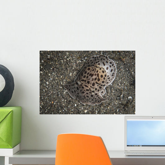 Moon-headed Sidegill Slug Komodo Wall Decal
