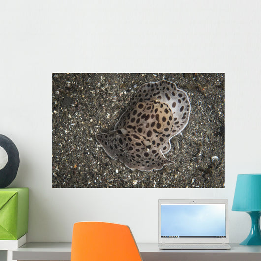 Moon-headed Sidegill Slug Komodo Wall Decal