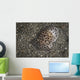Moon-headed Sidegill Slug Komodo Wall Decal