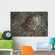 Moon-headed Sidegill Slug Komodo Wall Decal