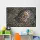 Moon-headed Sidegill Slug Komodo Wall Decal