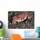 Splendid Demon Crab Komodo Wall Decal