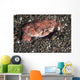 Splendid Demon Crab Komodo Wall Decal