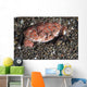 Splendid Demon Crab Komodo Wall Decal