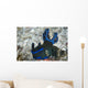 Tambja Morosa Nudibranch Komodo Wall Decal