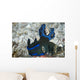 Tambja Morosa Nudibranch Komodo Wall Decal