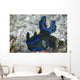 Tambja Morosa Nudibranch Komodo Wall Decal
