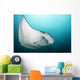 Manta Ray Manta Alley Close-up Wall Decal