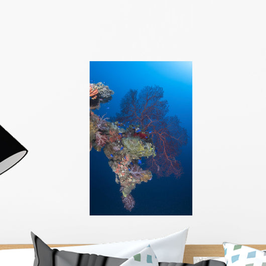 Coral Growth Davit Momokawa Wall Decal