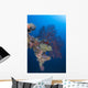 Coral Growth Davit Momokawa Wall Decal