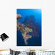 Coral Growth Davit Momokawa Wall Decal