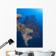 Coral Growth Davit Momokawa Wall Decal