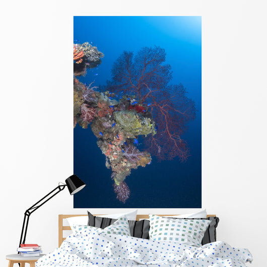 Coral Growth Davit Momokawa Wall Decal