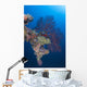 Coral Growth Davit Momokawa Wall Decal