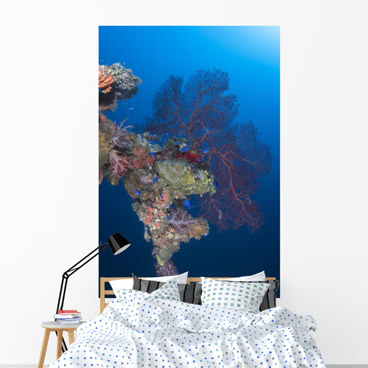 Coral Growth Davit Momokawa Wall Decal