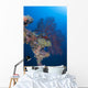 Coral Growth Davit Momokawa Wall Decal