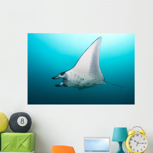 Manta Ray Manta Alley Underneath Wall Decal