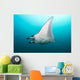Manta Ray Manta Alley Underneath Wall Decal