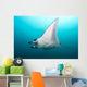 Manta Ray Manta Alley Underneath Wall Decal
