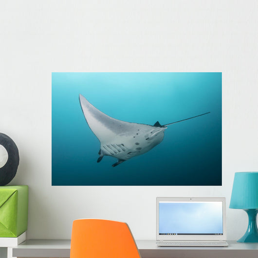 Manta Ray Manta Alley Wall Decal