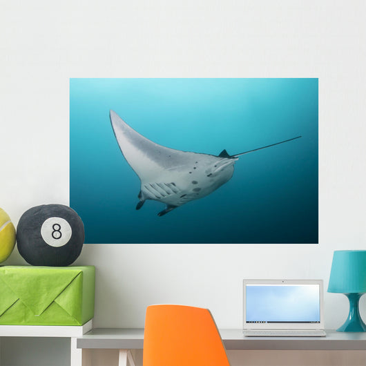 Manta Ray Manta Alley Wall Decal