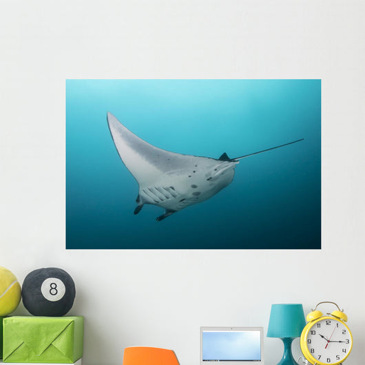 Manta Ray Manta Alley Wall Decal