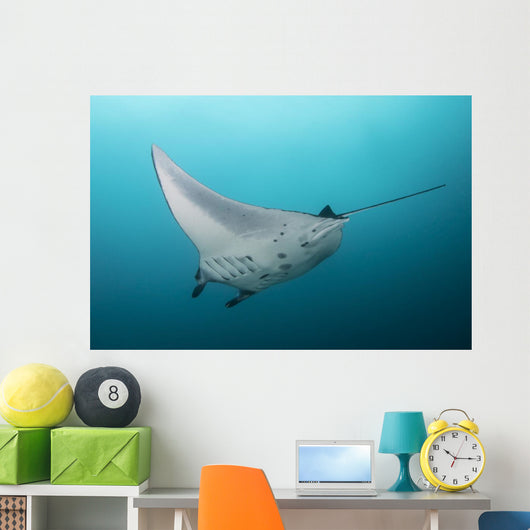 Manta Ray Manta Alley Wall Decal