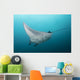 Manta Ray Manta Alley Wall Decal