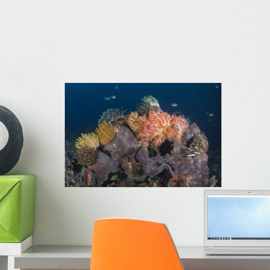 Crinoids and Soft Coral Wall Decal
