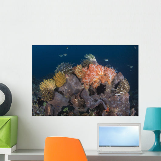 Crinoids and Soft Coral Wall Decal