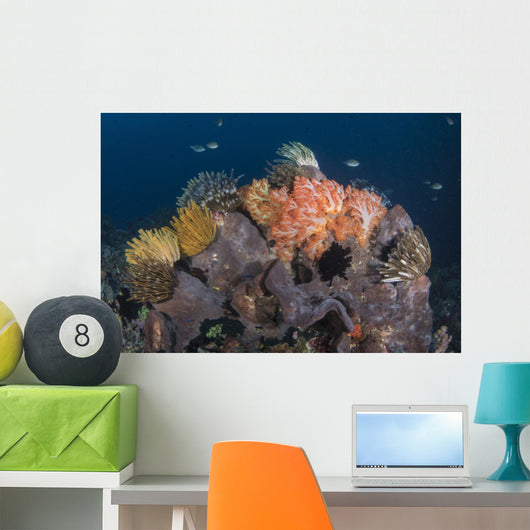 Crinoids and Soft Coral Wall Decal