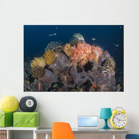 Crinoids and Soft Coral Wall Decal