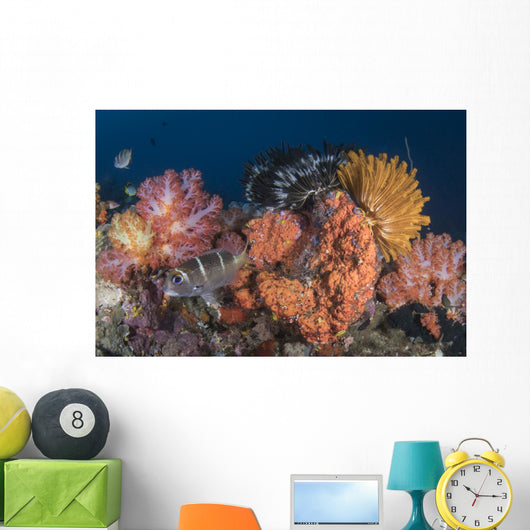 Crinoids and Soft Coral Close-up Wall Decal