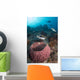 Clown Triggerfish near Spawning Wall Decal