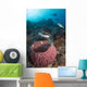 Clown Triggerfish near Spawning Wall Decal