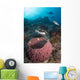 Clown Triggerfish near Spawning Wall Decal