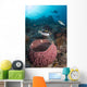 Clown Triggerfish near Spawning Wall Decal